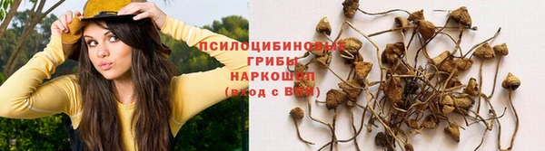 дмт Балахна