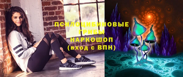 дурь Арсеньев